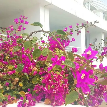 Pearl アパート プエルト・デル・カルメン